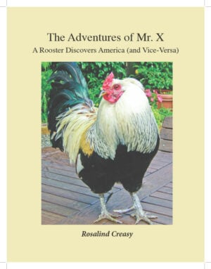 The Adventures of Mr. X cover