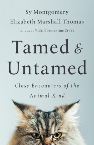 The Tamed and Untamed cover