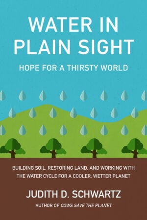 The Water in Plain Sight cover