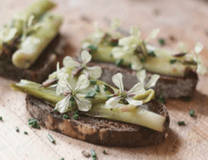 braised daylily shoots