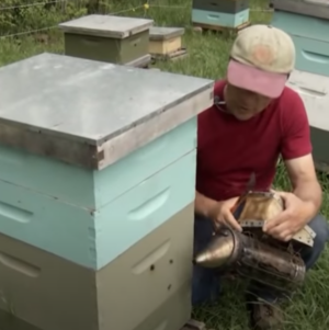 beekeeping