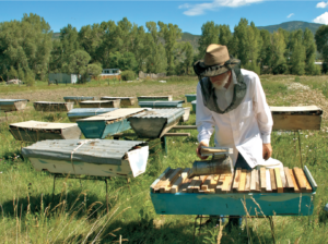 bee keeper